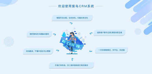電商行業CRM云客服管理系統選哪家？紫鳥云客服——互聯網信息技術服務的卓越選擇
